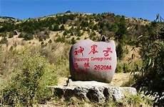 主角有神农鼎的小说