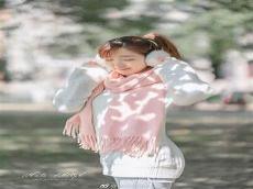 人面桃花两相宜小说